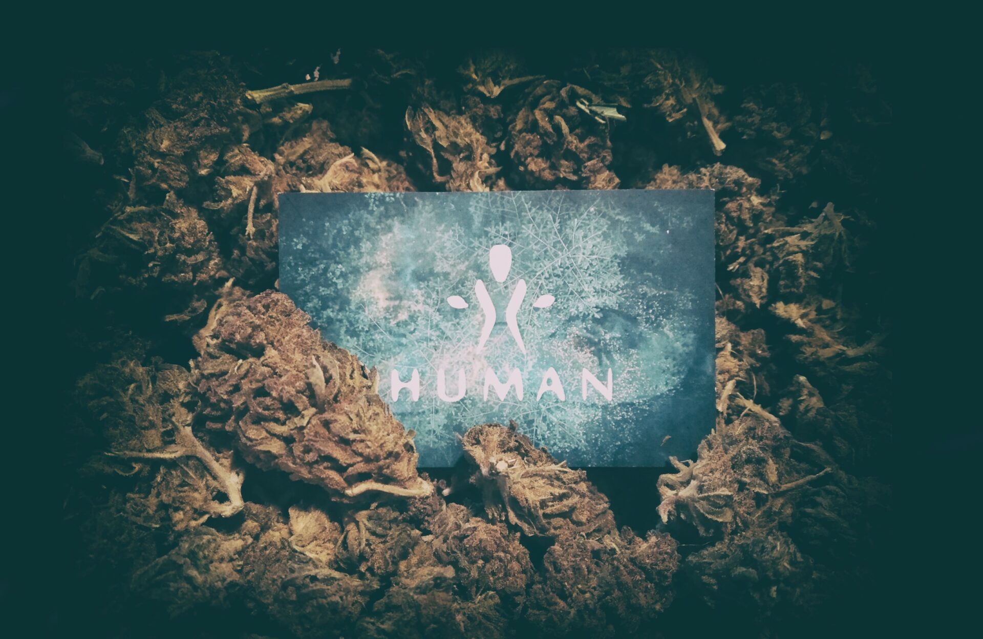 (c) Human-cbd.fr