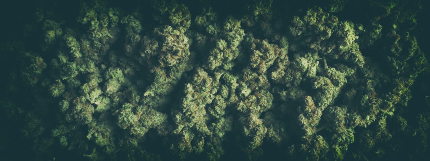 cbd vente