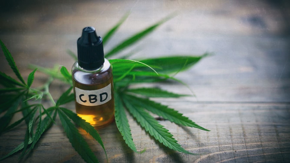 Tout savoir sur l'huile cbd