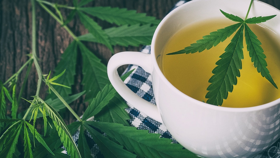 Comment faire une tisane au CBD