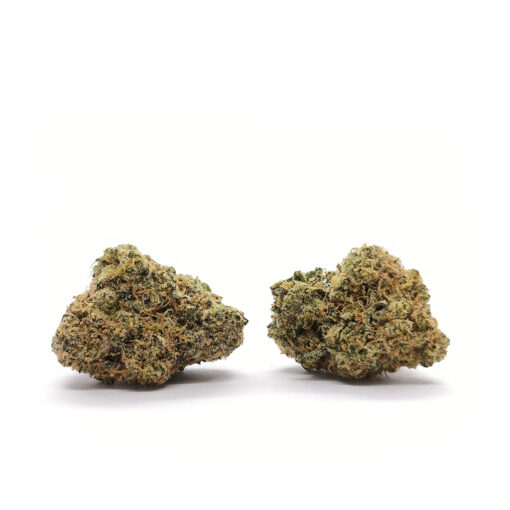 Gorilla Glue - Fleurs CBD<br/><b>9,9% CBD</b> – Image 2