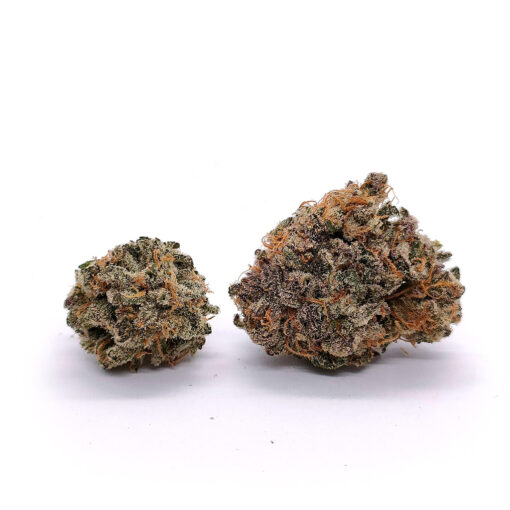 Harmony - Fleurs CBD<br/><b>12,2% CBD</b> – Image 3