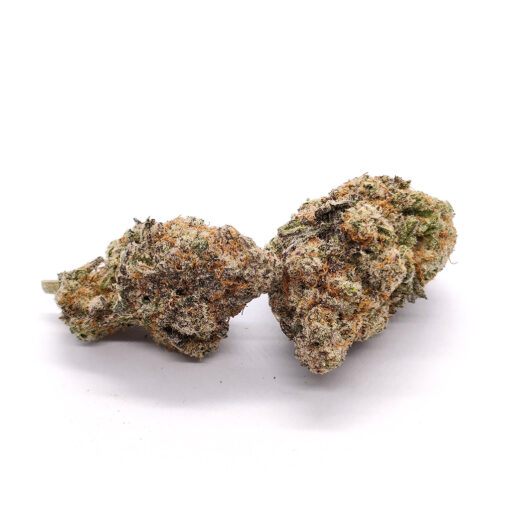 Orange Bud – Image 4