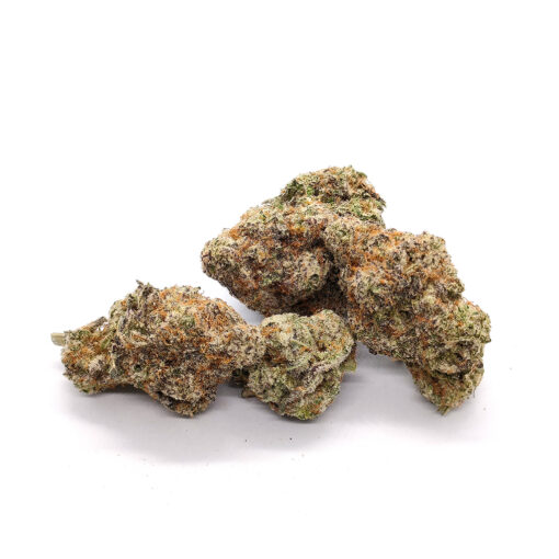 Orange Bud – Image 5