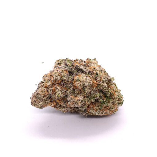 Orange Bud – Image 3