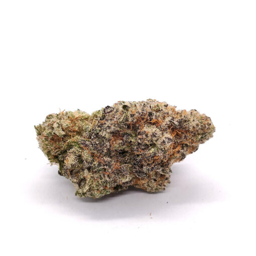 Orange Bud – Image 2