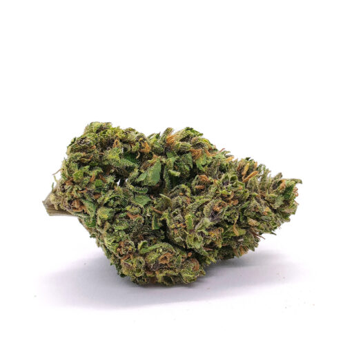 Bubble Gum