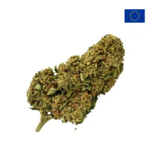 Critical-