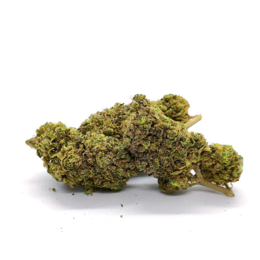 Harlequin - Fleurs CBD<br/><b>8,7% CBD</b> – Image 4