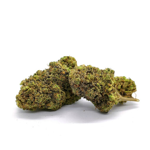 Harlequin - Fleurs CBD<br/><b>8,7% CBD</b> – Image 3
