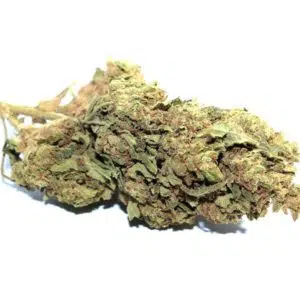 Lemon outdoor