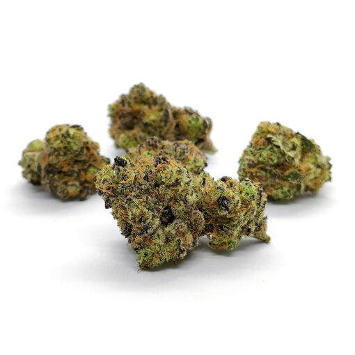Northern Light - Fleurs CBD<br/><b>11,7% CBD</b>