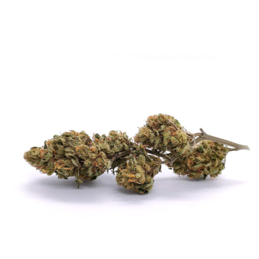Royal Cheese - Fleurs CBD<br/><b>5,2% CBD</b> – Image 2