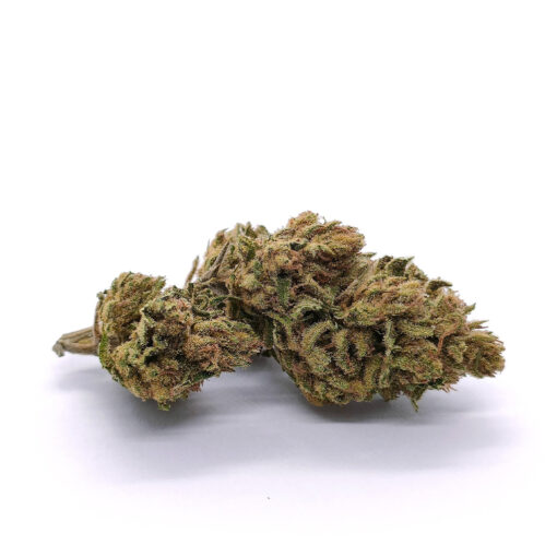 Royal Cheese - Fleurs CBD<br/><b>5,2% CBD</b>