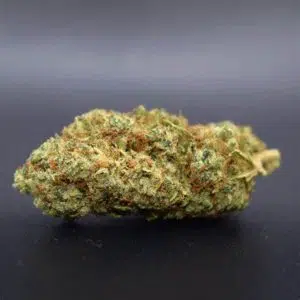 Bubble-Gum