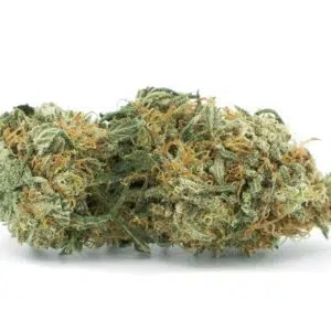 royal cheese outdoor
