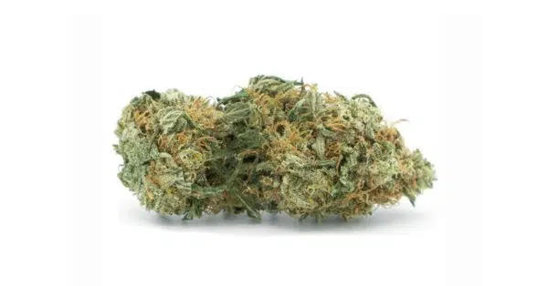 royal cheese outdoor