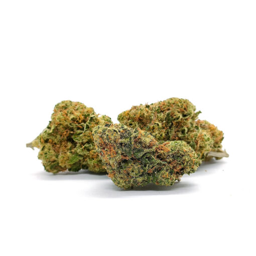 Jack Herer - Fleurs CBD<br/><b>10,4% CBD</b> – Image 2