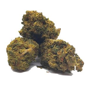 hhc cannatonic