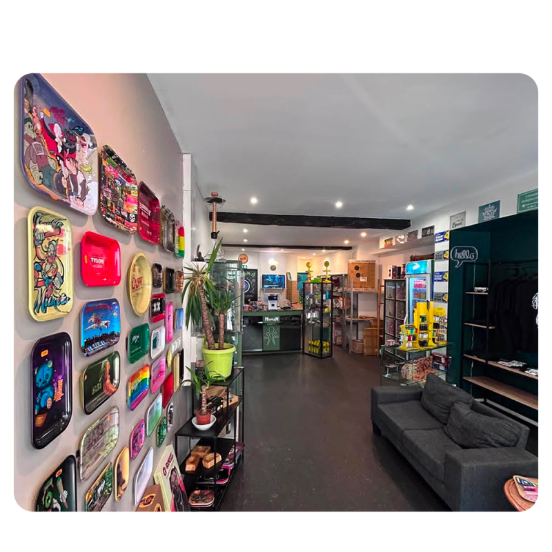 Interieur de la boutique de human cbd rue d auron a bourges