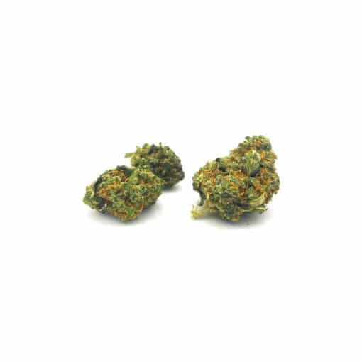 Bz1 - Minibud Indoor<br/><b>9,8% CBD</b> – Image 2