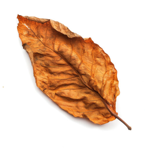 FLR DPS - Mélanges de Tabac – Image 2