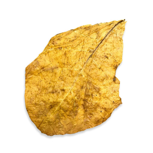 CML - Mélanges de Tabac – Image 3