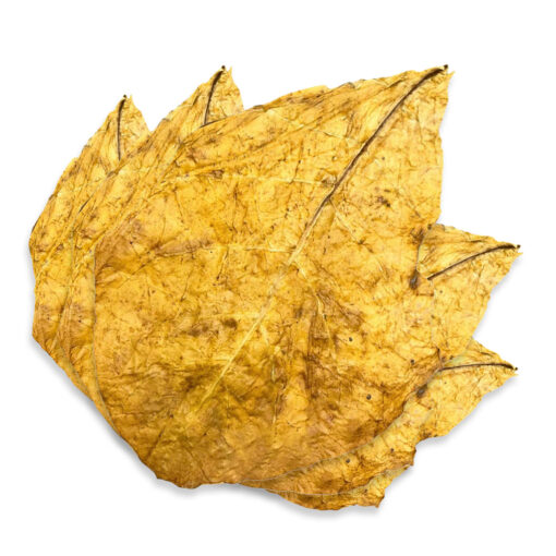 Orange Virginia Déclassé - Feuille de Tabac