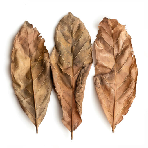 Orient Turk - Feuille de Tabac – Image 2