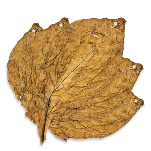 Orient Krumovgrad - Feuille de Tabac