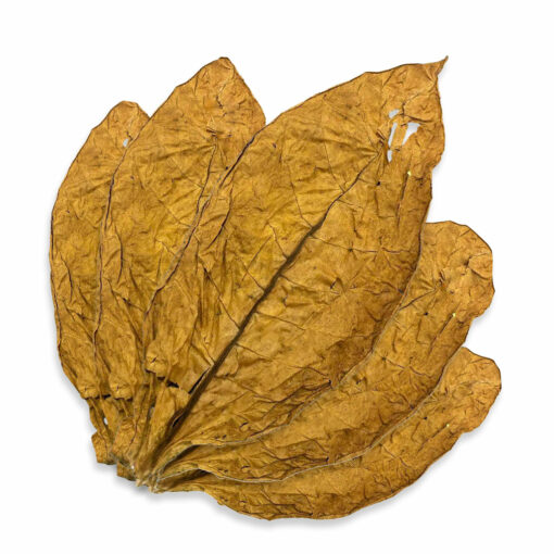 Orient Samsoun - Feuille de Tabac