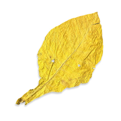CML - Mélanges de Tabac – Image 2