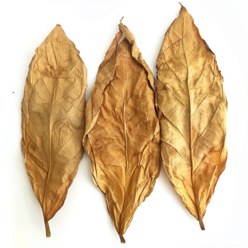 Virginia Gold - Feuille de Tabac – Image 2