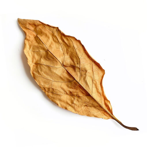 FLR DPS - Mélanges de Tabac – Image 5