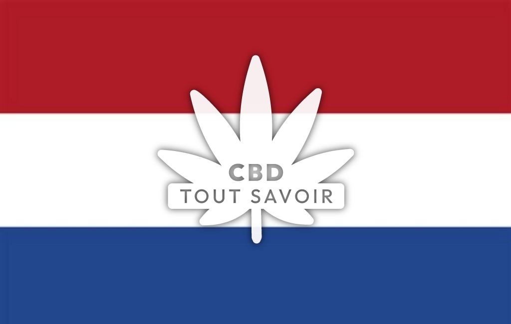 Drapeau Pays-Bas avec feuille Cannabis CBD
