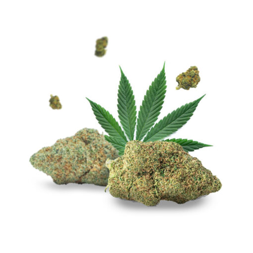 Pack Fleurs CBD Découverte