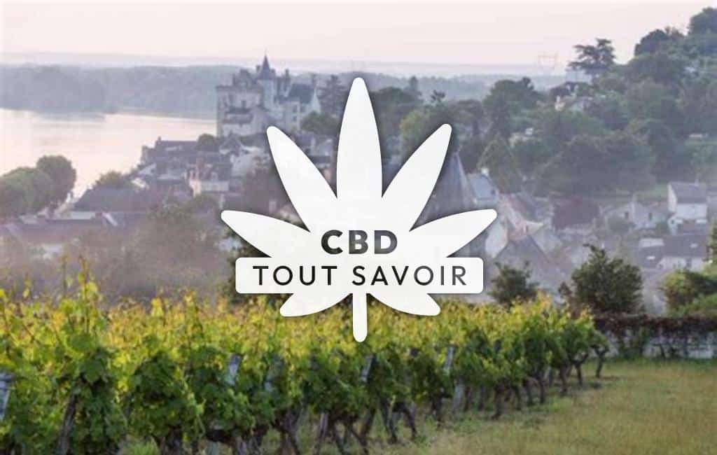 Drapeau Pays de la Loire avec feuille Cannabis CBD