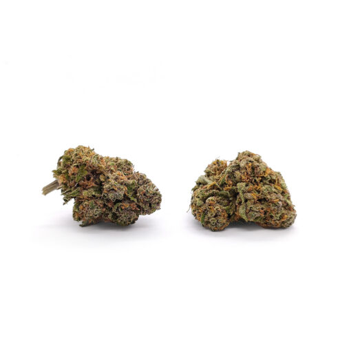 Cheese - Fleurs CBD<br/><b>7,1% CBD</b> – Image 2