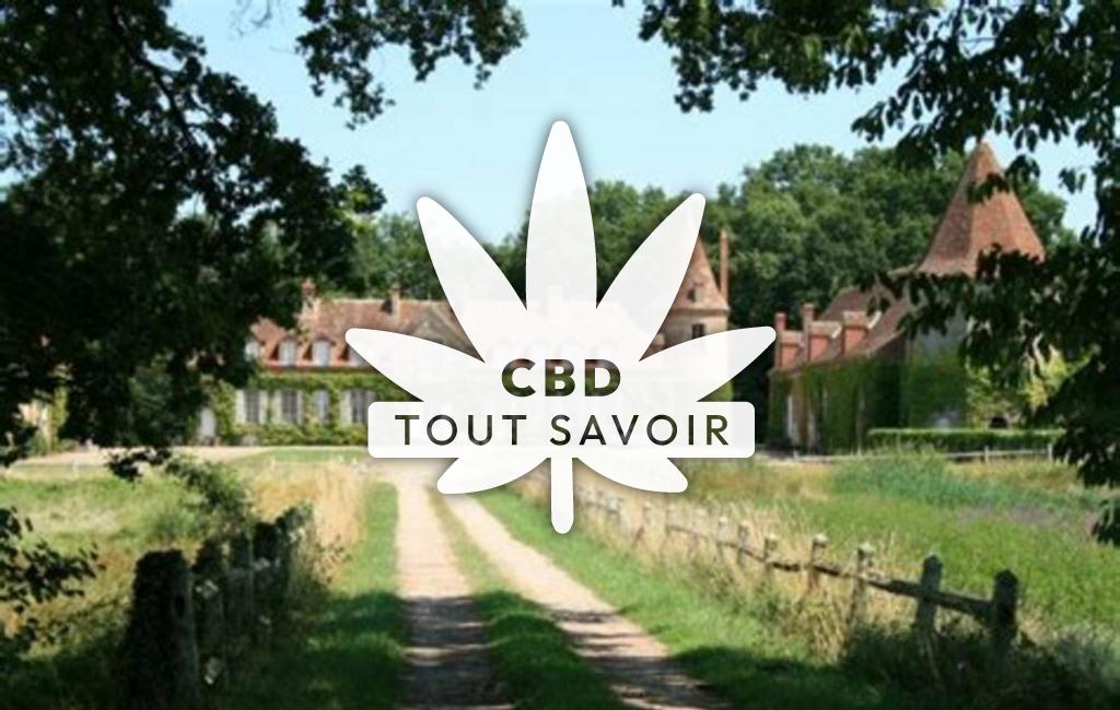 Village à Saint-Gerand-de-Vaux avec feuille Cannabis CBD
