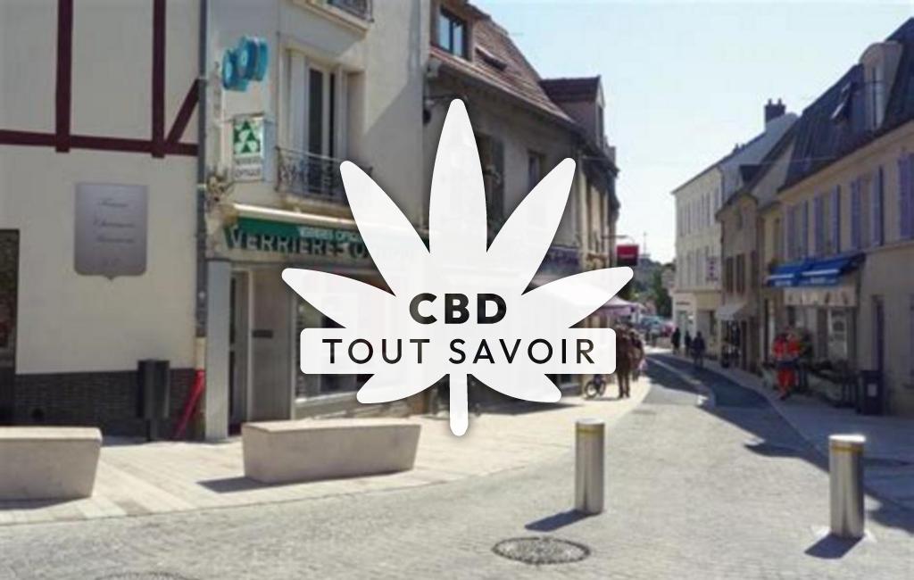 Village à Verrieres avec feuille Cannabis CBD