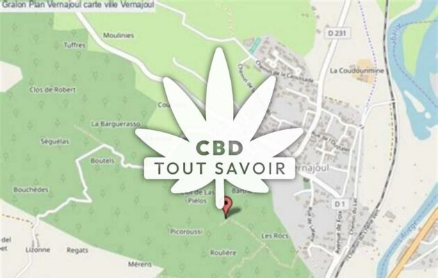 Village à Vernajoul avec feuille Cannabis CBD