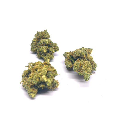 Moby Dick - Fleurs CBD<br/><b>14% CBD</b> – Image 3