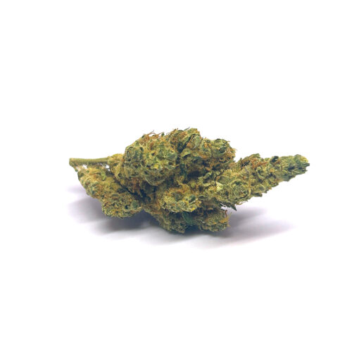 Moby Dick - Fleurs CBD<br/><b>14% CBD</b>