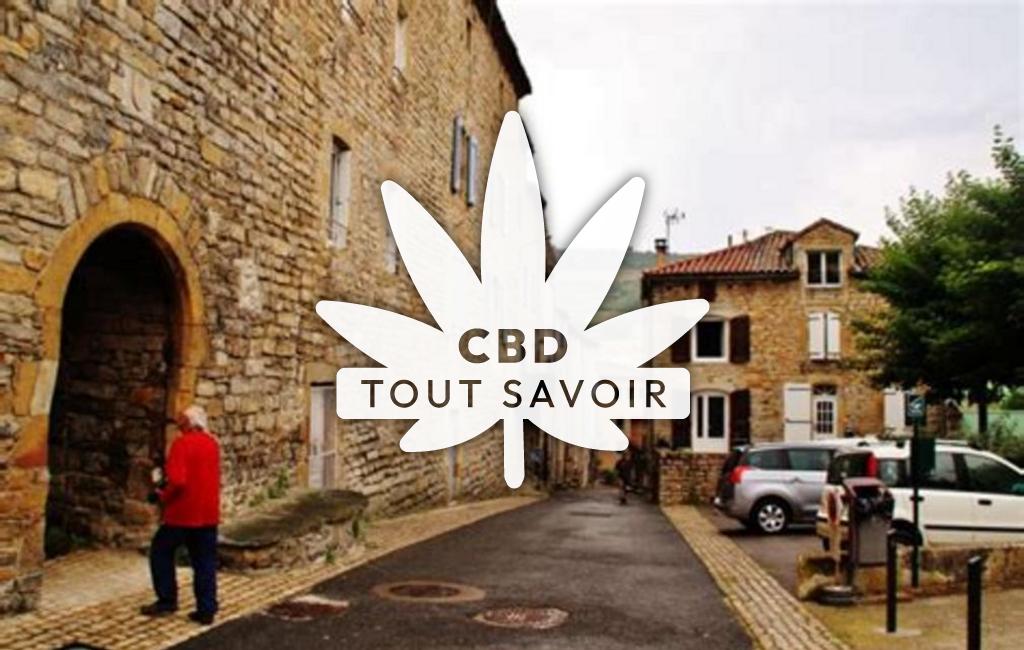 Village à Saint-Georges-de-Luzencon avec feuille Cannabis CBD