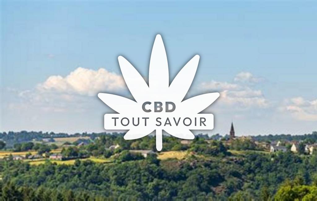 Village à Sainte-Juliette-sur-Viaur avec feuille Cannabis CBD