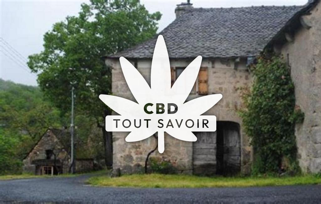 Village à Florentin-la-Capelle avec feuille Cannabis CBD