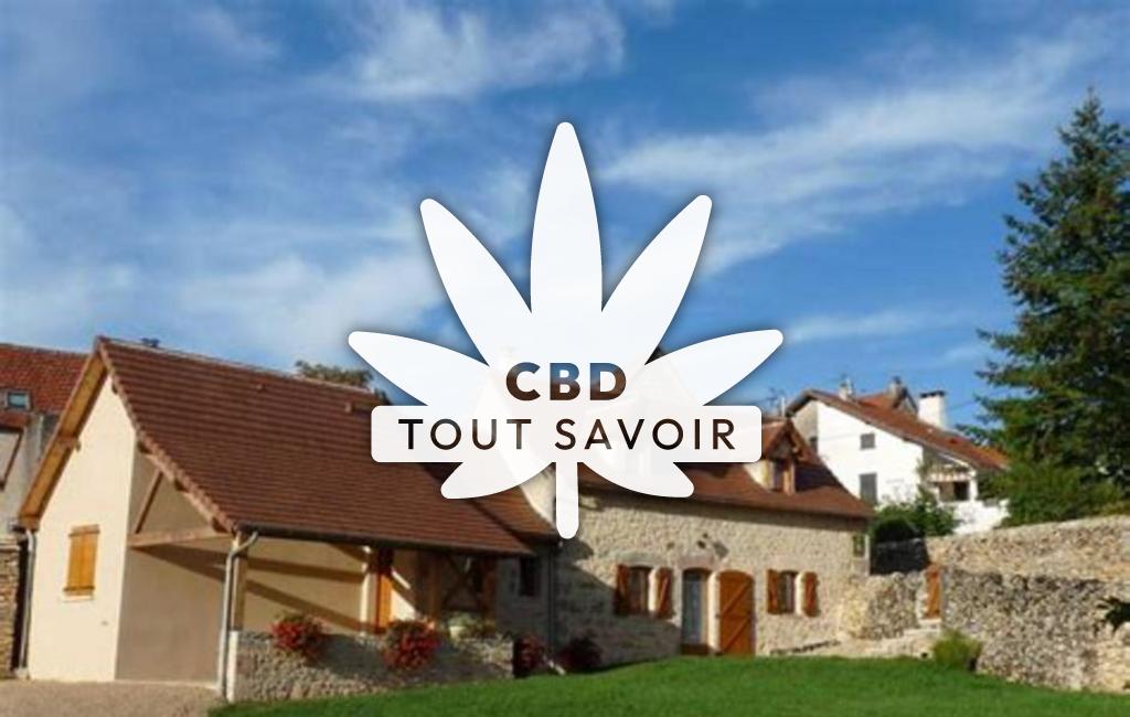 Village à La-Capelle-Balaguier avec feuille Cannabis CBD