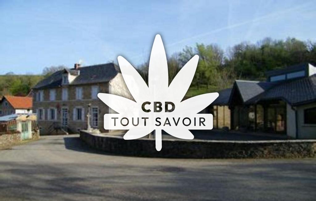Village à Saint-Igest avec feuille Cannabis CBD