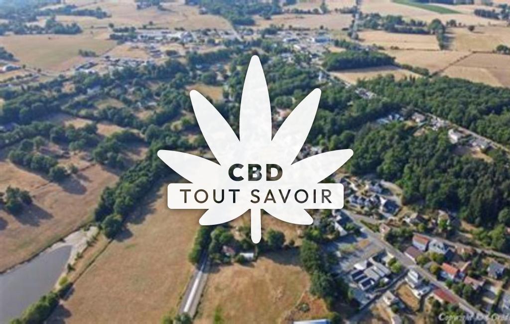 Village à La-Fouillade avec feuille Cannabis CBD