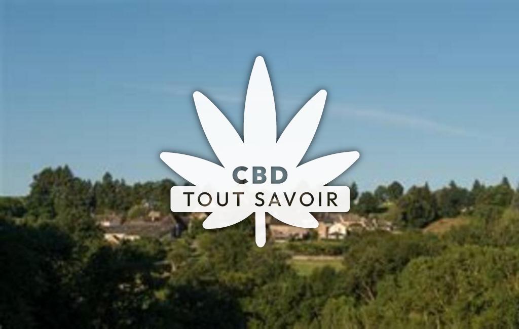 Village à Saint-Andre-de-Najac avec feuille Cannabis CBD